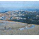 은서목장 이미지