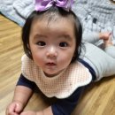 형제사슴목장 이미지