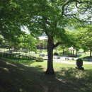 추성경기장(추성무대) 이미지