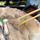 회서방 | [남해 미조면] 회 포장 전문점 추천 "유서방 회 떠가시다" 내돈내산 후기 | 여행 필수 맛집