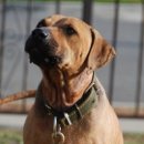 메이데이 이미지