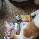 폴리파크 파동점 | 폴리파크에서 깜짝 선물이 뚜둔