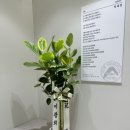 과천성모정신건강의학과의원 이미지