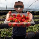 태성농장 이미지