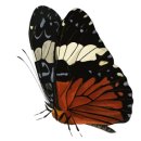 VAVA안경콘택트 이미지