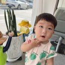 바이지헤어룸