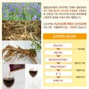 엘림식품 이미지