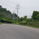 파래스모텔 티스토리
