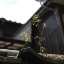 초록풍경 이미지