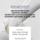 디어뭉치 네이버블로그