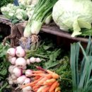 청초농장 이미지