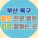 구포3동-4 | 부산 북구 탈모 전문 병원 치료 잘하는 병원 List 탈모관리 전문