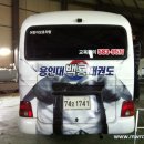 용인대 백룡 태권도 이미지