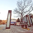 우체국 건널목 이미지