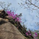 대가부동산중개 | [부동산과역사] 부동산 전문직 집쾌, 가쾌 : 신뢰와 전문성으로 한양을 움직이다.