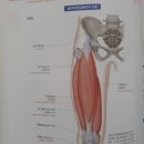 존피트니스 이미지