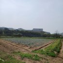 옥산신도시공인중개사사무소 이미지