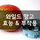(주)인테그라(INTEGRA) | 와일드망고 (African Mango, 아프리칸 망고) 효능, 부작용, 권장량, 제품 순위