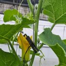 한백농장 이미지