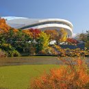 올림픽수영장 이미지