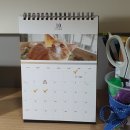 민영칼라 현상소 | 지금도 기억하고 있어요 시월의 마지막 밤을