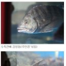 부경밥상집