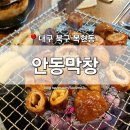 [대구 북구] 복현동 맛집 &#39;안동막창&#39; 복현오거리 술집 50년 전통 초벌구이 막창