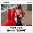 우성방앗간 | [부산 빵지순례] 금정구 빵 맛집, 이흥용 명장의 ‘금정사계’ 솔직 후기 (꿀팁)