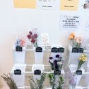 블름 - 남양주시 해밀예당1로190번길 22 | 꽃시장 같은 수원 꽃집 헬로블름, 내돈내산 후기