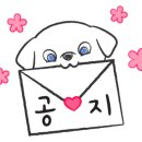 아트그라운드 플래닌 네이버블로그