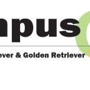 올림푸스원 이미지