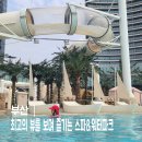 디오팜 | 부산 해운대 아이와 겨울에 갈만한 워터파크 클럽디오아시스