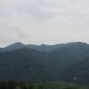 파주골이동갈비