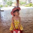 태성상사 이미지