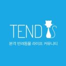 텐드(TEND)