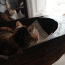 연은동물병원 이미지