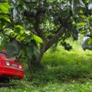 현철농장 이미지