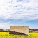 코타제주 이미지