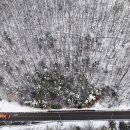 Snow County 이미지