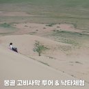 초원세탁 | 몽골여행 고비사막 투어 낙타체험 &amp; 모래썰매 후기