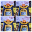 브릭스 제주 이미지