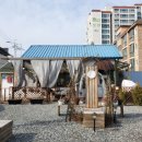 강원도 횡성군 교항로 이미지