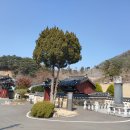 문숙영당 Daum카페