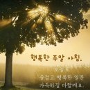 9월 28일 토요일 미래 정 대문 오픈 합니다 이미지