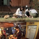 이른아침민박 이미지