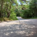 삼수온천길 이미지