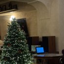 둔산중로46번길 | 둔산동 맛집 추천 데이트 소개팅 장소 볼로니아 대전둔산점 솔직 후기