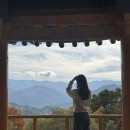 상림민박 | 함양가을여행 :: 칠선산장/리틀아쉬람/카페오도재/지안재/상림공원