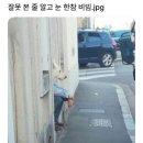 깜짝이야ㅋㅋㅋ 이미지