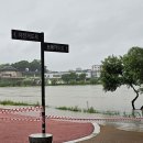 김시민대교 둔치 이미지